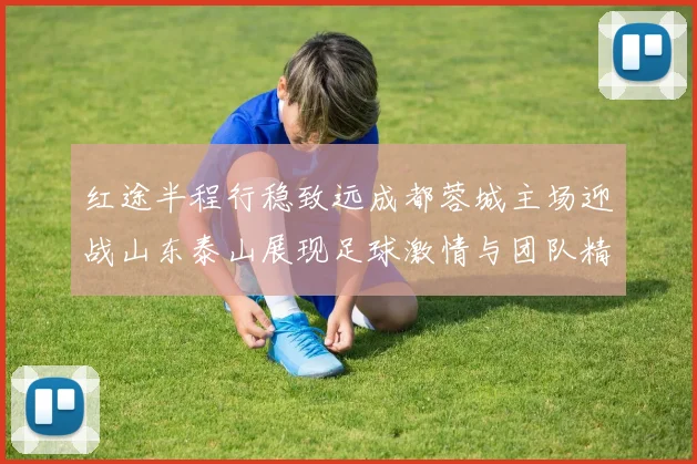 红途半程行稳致远成都蓉城主场迎战山东泰山展现足球激情与团队精神